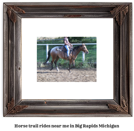 horse trail rides near me in Big Rapids, Michigan